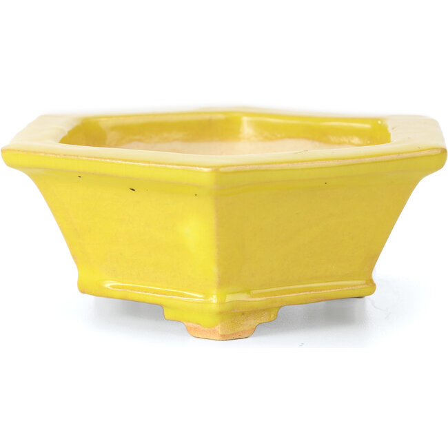 Maceta de bonsái amarilla hexagonal de Keiun Fukuda - 140 x 125 x 50 mm