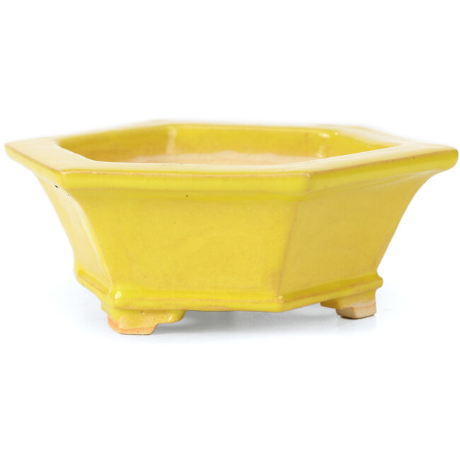 Vaso per bonsai esagonale giallo di Keiun Fukuda - 140 x 125 x 50 mm