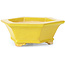 Vaso per bonsai esagonale giallo di Keiun Fukuda - 140 x 125 x 50 mm