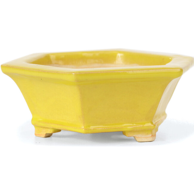 Zeshoekige gele bonsaipot van Keiun Fukuda - 140 x 125 x 50 mm