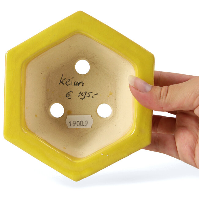 Vaso per bonsai esagonale giallo di Keiun Fukuda - 140 x 125 x 50 mm