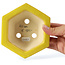 Hexagonal yellow bonsai pot by Keiun Fukuda - 140 x 125 x 50 mm