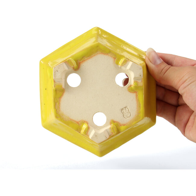 Hexagonal yellow bonsai pot by Keiun Fukuda - 140 x 125 x 50 mm