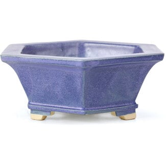 Keiun Fukuda 桂雲 140 mm hexagonal blue bonsai pot by Keiun Fukuda, Japan