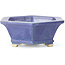 Vaso per bonsai esagonale blu di Keiun Fukuda - 140 x 125 x 50 mm