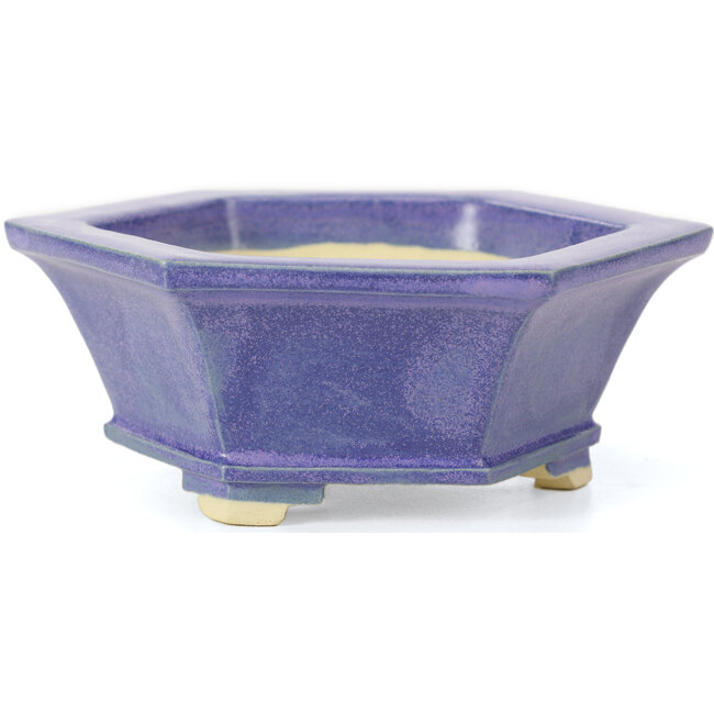 Vaso per bonsai esagonale blu di Keiun Fukuda - 140 x 125 x 50 mm