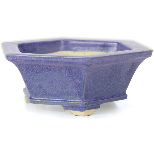 Maceta de bonsái azul hexagonal de Keiun Fukuda - 140 x 125 x 50 mm