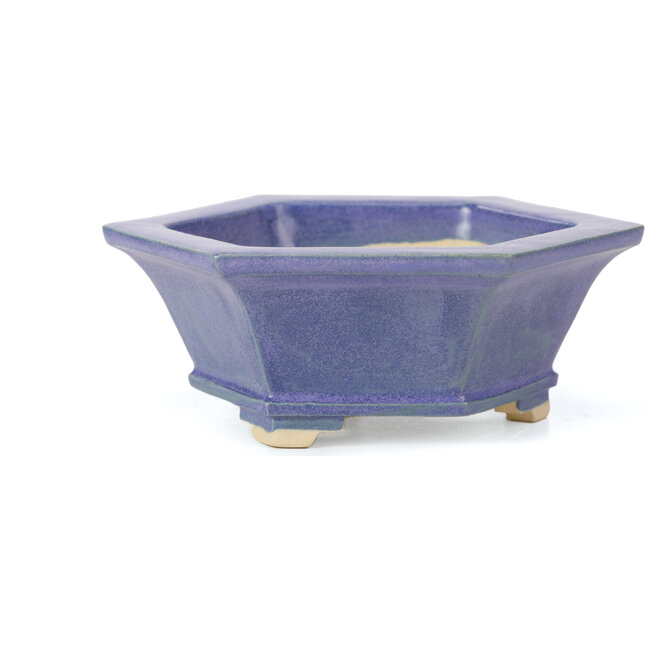 Sechseckige blaue Bonsaischale von Keiun Fukuda - 140 x 125 x 50 mm