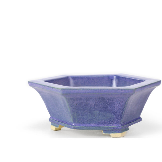 Sechseckige blaue Bonsaischale von Keiun Fukuda - 140 x 125 x 50 mm