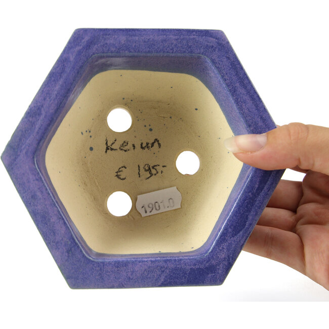 Maceta de bonsái azul hexagonal de Keiun Fukuda - 140 x 125 x 50 mm