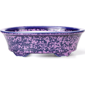 Heian Kozan 180 mm oval purple bonsai pot by Heian Kozan, Kyoto, Japan