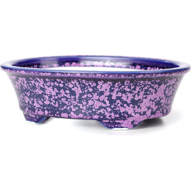Maceta de bonsái violeta ovalada de Heian Kozan - 180 x 143 x 53 mm