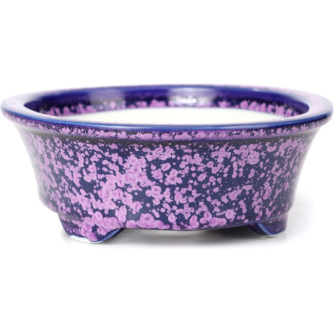 Pot à bonsaï ovale violet par Heian Kozan - 180 x 143 x 53 mm