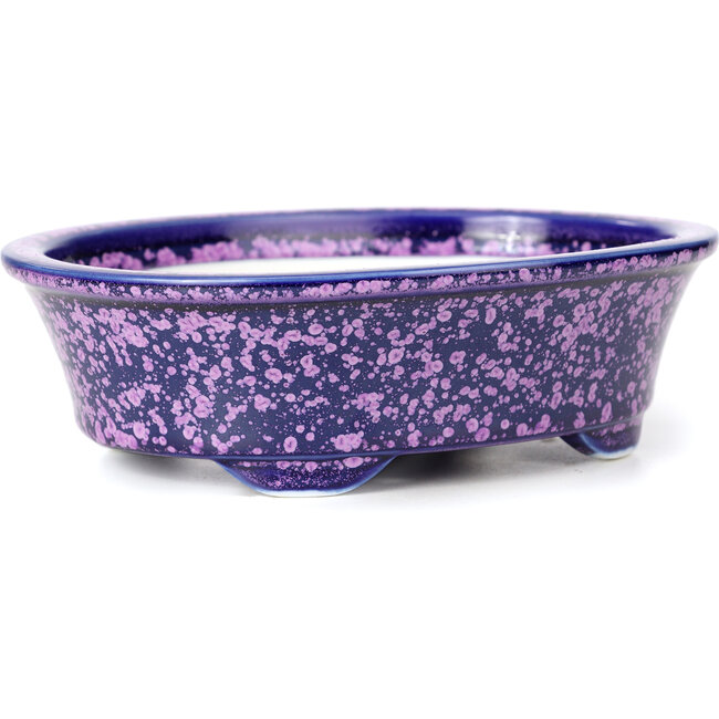 Maceta de bonsái violeta ovalada de Heian Kozan - 180 x 143 x 53 mm
