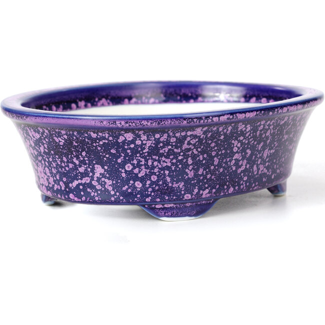 Maceta de bonsái violeta ovalada de Heian Kozan - 180 x 143 x 53 mm