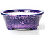 Oval purple bonsai pot by Heian Kozan - 180 x 143 x 53 mm