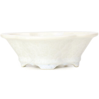  Heian Senzan Pot à bonsaï mokko blanc 170 mm par Heian Kozan, Kyoto, Japon