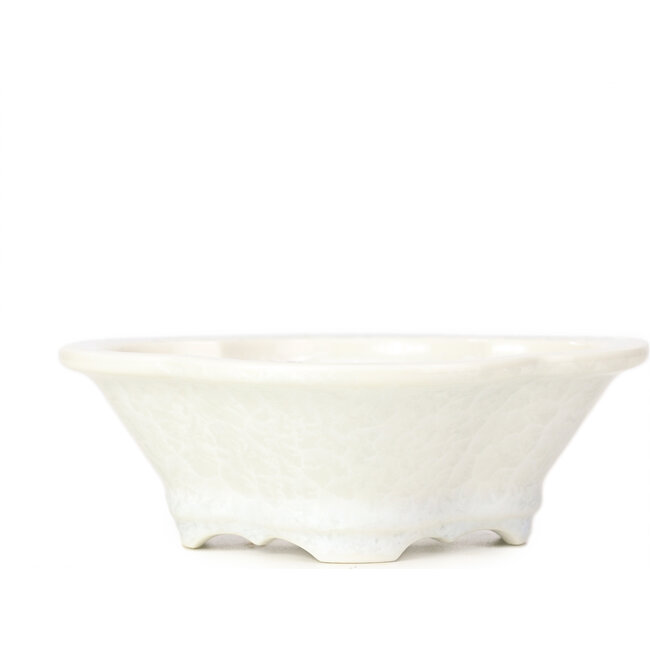 Mokko witte bonsaipot van Heian Kozan - 170 x 160 x 58 mm