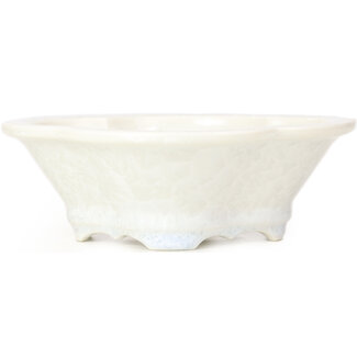  Heian Senzan Pot à bonsaï mokko blanc 170 mm par Heian Kozan, Kyoto, Japon