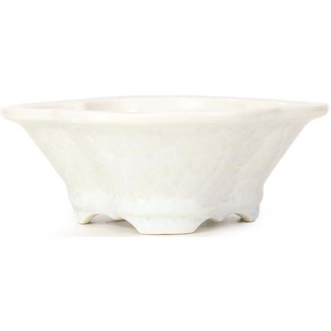 Mokko witte bonsaipot van Heian Kozan - 170 x 160 x 58 mm