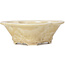 Mokko beige bonsai pot by Heian Kozan - 170 x 160 x 58 mm