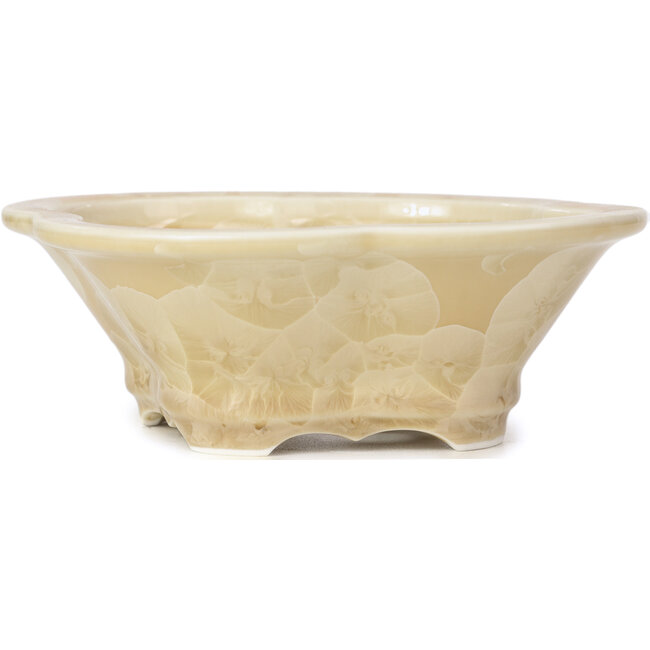 Mokko beige Bonsaischale von Heian Kozan - 170 x 160 x 58 mm