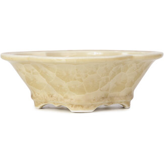  Heian Senzan Pot à bonsaï beige mokko 170 mm par Heian Kozan, Kyoto, Japon