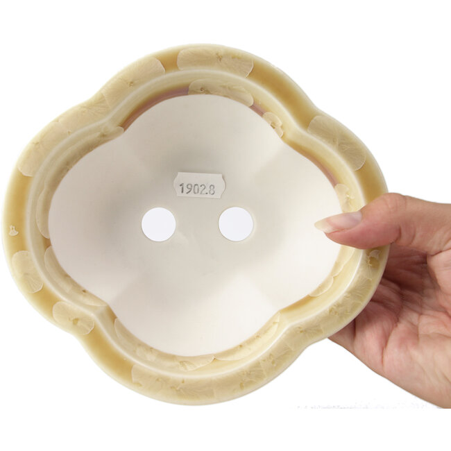 Maceta de bonsái beige Mokko de Heian Kozan - 170 x 160 x 58 mm