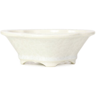  Heian Senzan Pot à bonsaï mokko blanc 155 mm par Heian Kozan, Kyoto, Japon