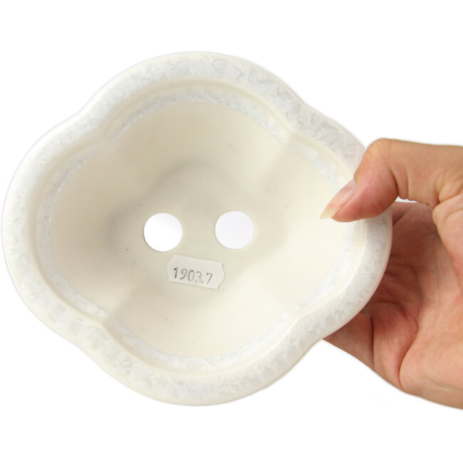 Maceta de bonsái blanca Mokko de Heian Kozan - 155 x 140 x 50 mm