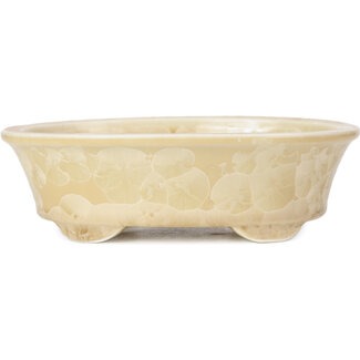  Heian Senzan 180 mm ovale beige bonsaipot van Heian Kozan, Kyoto, Japan