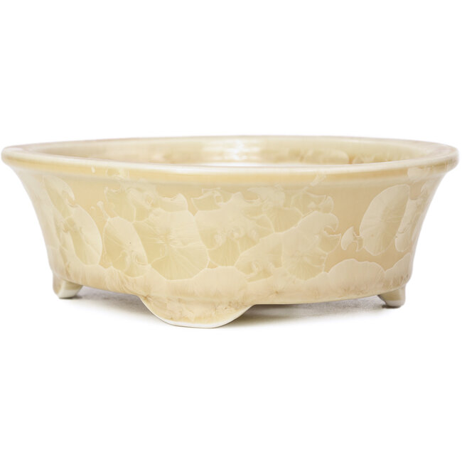 Oval beige bonsai pot by Heian Kozan - 180 x 143 x 53 mm