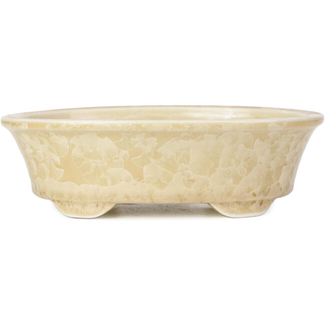 Maceta de bonsái beige ovalada de Heian Kozan - 180 x 143 x 53 mm