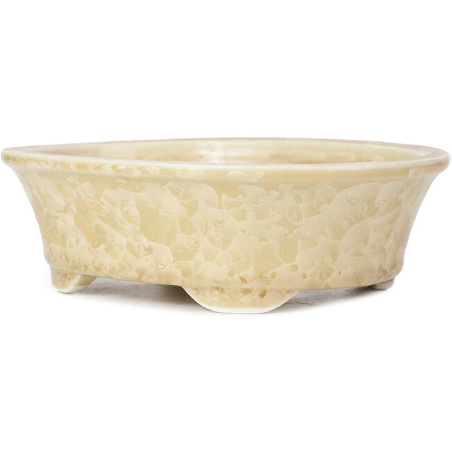 Ovale beige Bonsaischale von Heian Kozan - 180 x 143 x 53 mm