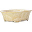 Oval beige bonsai pot by Heian Kozan - 180 x 143 x 53 mm