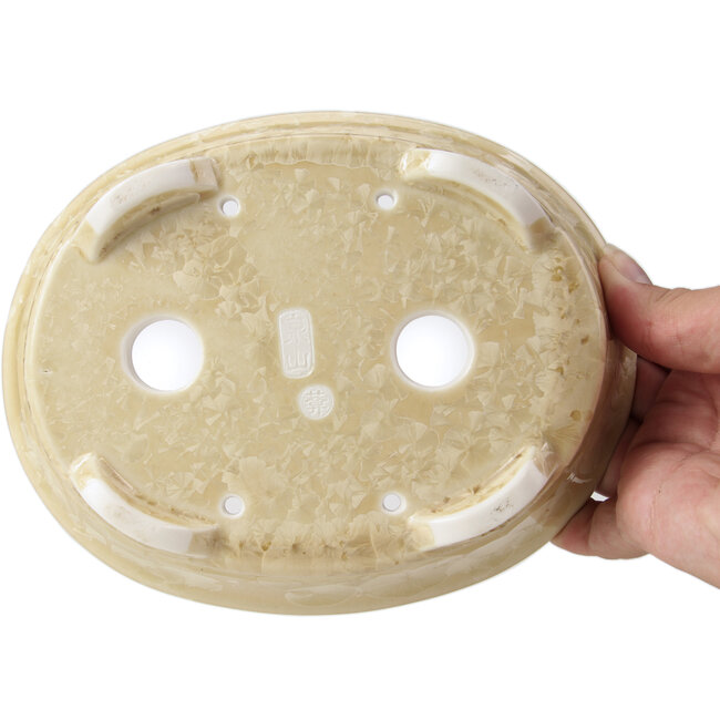 Maceta de bonsái beige ovalada de Heian Kozan - 180 x 143 x 53 mm