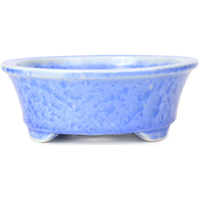 Maceta de bonsái azul ovalada de Heian Kozan - 180 x 143 x 53 mm