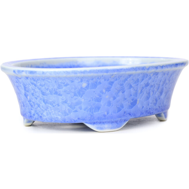 Pot à bonsaï ovale bleu par Heian Kozan - 180 x 143 x 53 mm
