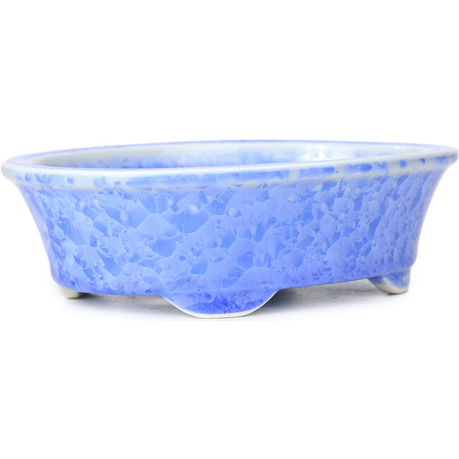 Pot à bonsaï ovale bleu par Heian Kozan - 180 x 143 x 53 mm