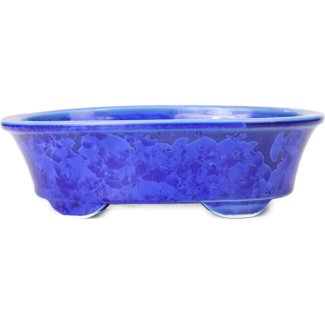 Pot à bonsaï ovale bleu par Heian Kozan - 180 x 143 x 53 mm