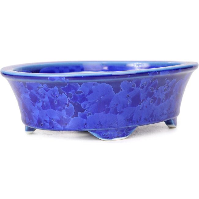 Maceta de bonsái azul ovalada de Heian Kozan - 180 x 143 x 53 mm