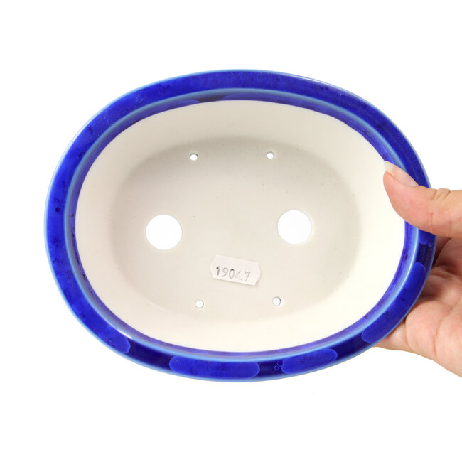 Maceta de bonsái azul ovalada de Heian Kozan - 180 x 143 x 53 mm