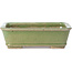 Maceta de bonsái verde rectangular de Hattori - 140 x 106 x 43 mm