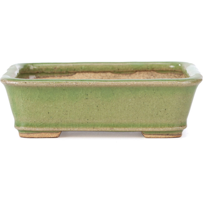 Rechteckige grüne Bonsaischale von Hattori - 140 x 106 x 43 mm