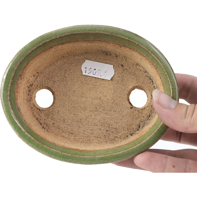 Ovale grüne Bonsaischale von Hattori - 130 x 102 x 35 mm