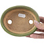 Pot à bonsaï ovale vert par Hattori - 130 x 102 x 35 mm