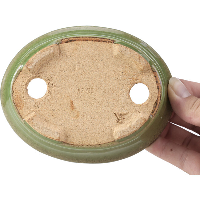 Pot à bonsaï ovale vert par Hattori - 130 x 102 x 35 mm