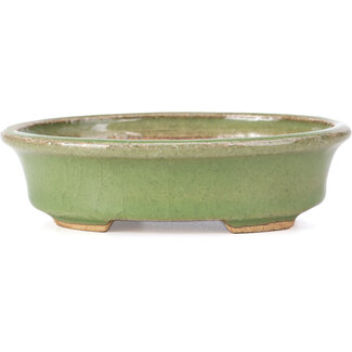 Hattori Tomoyuki 130 mm oval green bonsai pot by Hattori, Tokoname, Japan