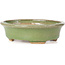 Oval green bonsai pot by Hattori - 130 x 102 x 35 mm