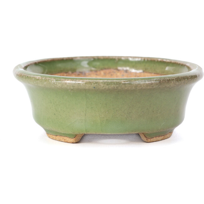 Maceta de bonsái verde ovalada de Hattori - 130 x 102 x 35 mm